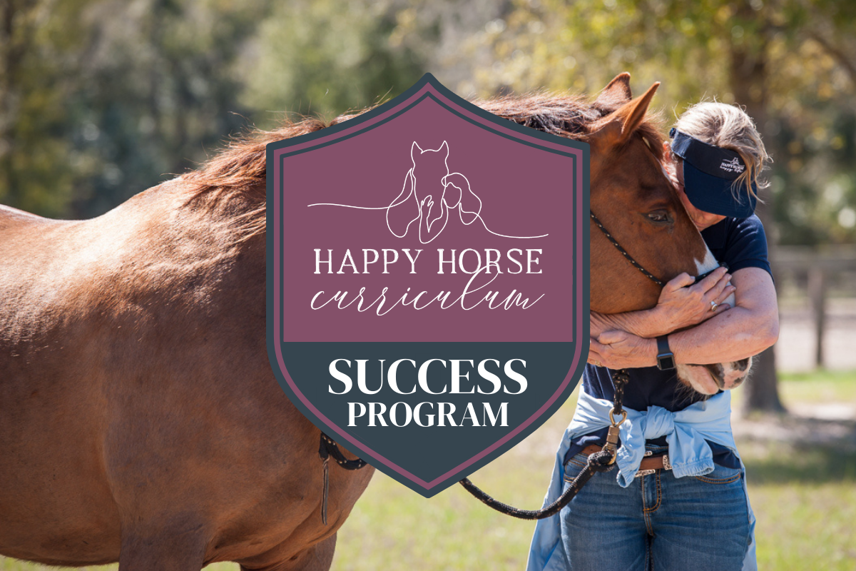 best-horse-training-program-happy-horse-happy-life