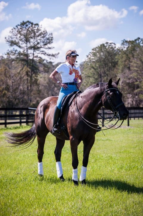 Happy Horse - Happy Life